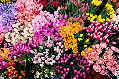 《死神：魂魄觉醒》明年3月21日发售 预购开启